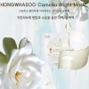 홍화수 동백 마스크팩 (10매)