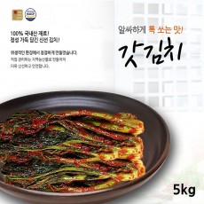 전라도사계절맛김치 갓김치 5kg