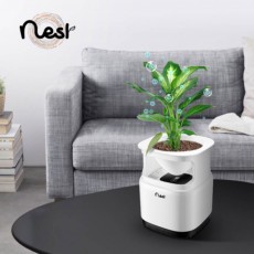 NEST 공기청정기 플렌트