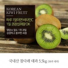 [A15-301]국내산 참다래 대과 5.5kg