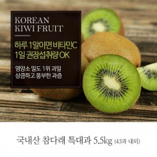 [A15-303]국내산 참다래 특대과 5.5kg