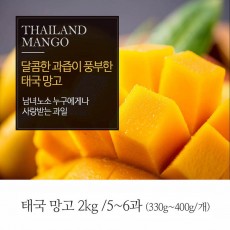 [A15-332]태국 망고 2kg