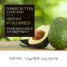 [A15-361]아보카도 5kg