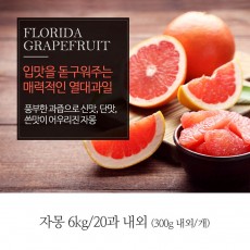 [A15-385]플로리다  자몽 300gx6.0kg